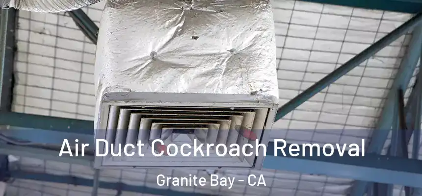  Air Duct Cockroach Removal Granite Bay - CA