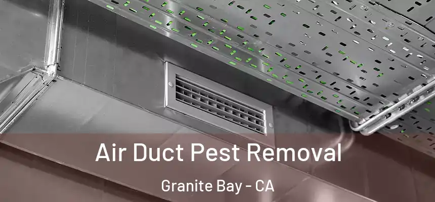  Air Duct Pest Removal Granite Bay - CA