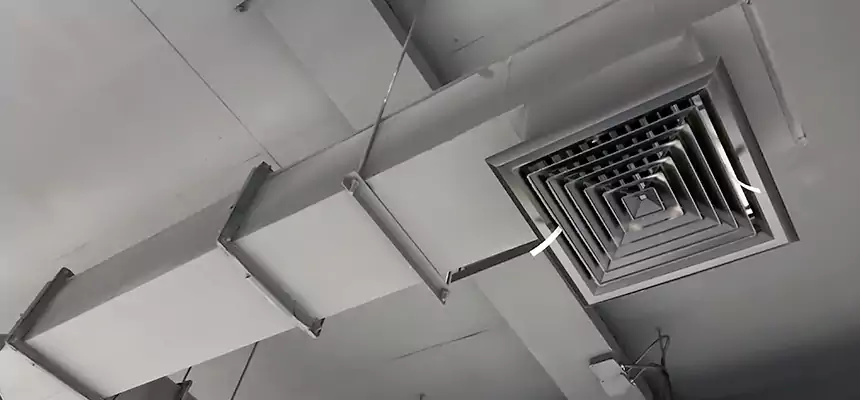 Our Rodent Droppings In Vents Services in Granite Bay, CA