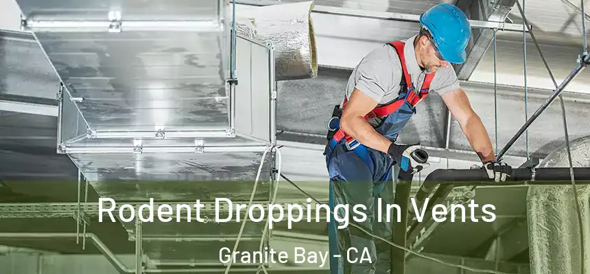  Rodent Droppings In Vents Granite Bay - CA