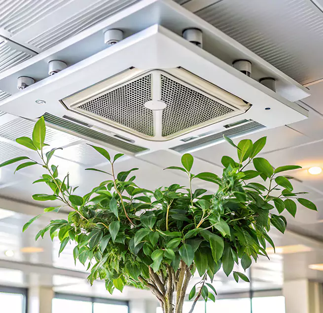 Why Homeowners & Businesses Trust Us in Granite Bay, CA