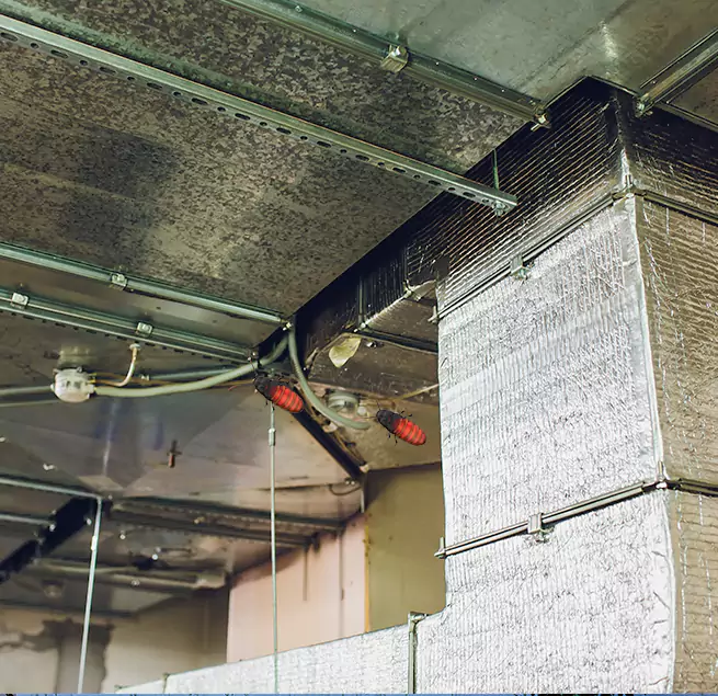 Why Homeowners & Businesses Trust Us Granite Bay, CA?