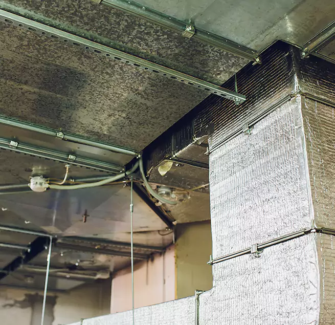 Why Homeowners & Businesses Trust Us in Granite Bay, CA?